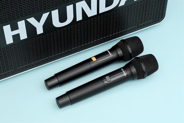 Loa Bluetooth karaoke Hyundai H9S 300W Màu Đen