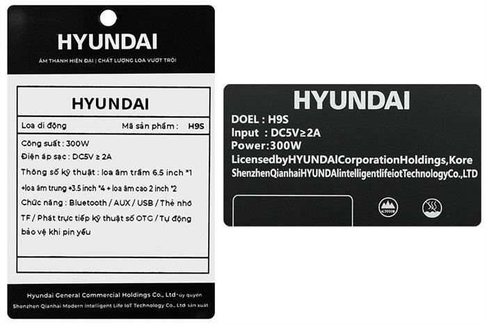 Loa Bluetooth karaoke Hyundai H9S 300W Màu Đen