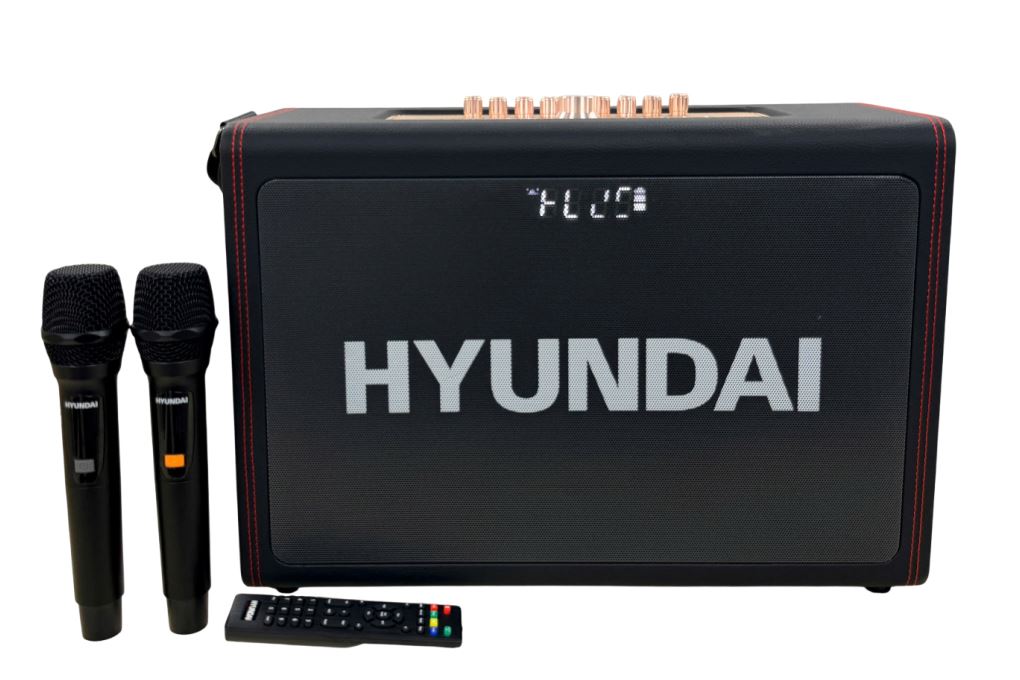 Loa Bluetooth karaoke Hyundai H10 300W Màu Đen