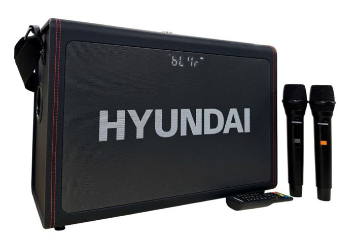 Loa Bluetooth karaoke Hyundai H10 300W Màu Đen