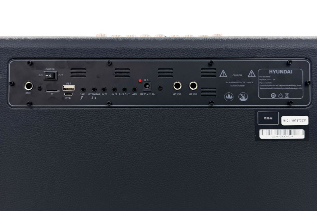 Loa Bluetooth karaoke Hyundai H10 300W Màu Đen