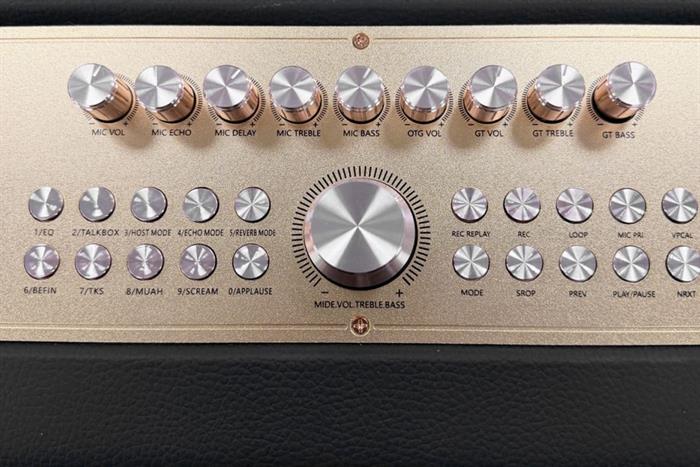 Loa Bluetooth karaoke Hyundai H10 300W Màu Đen