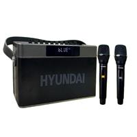 Loa karaoke xách tay Hyundai HD18 200W