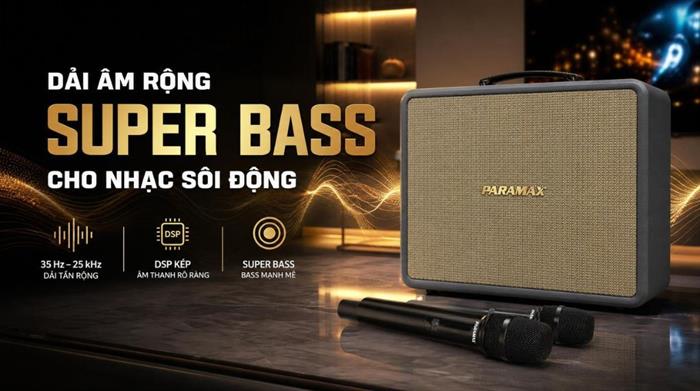 Loa karaoke xách tay PARAMAX Karat 200W Màu Xám