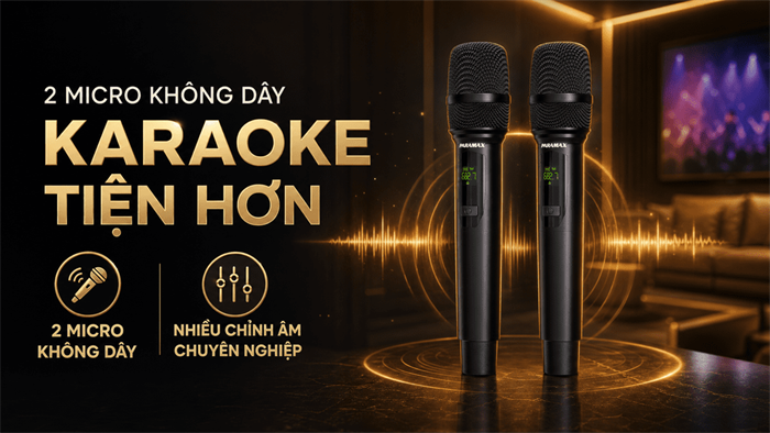 Cặp loa karaoke Paramax Euro 801 Smart Light Oak 240W Màu Nâu nhạt
