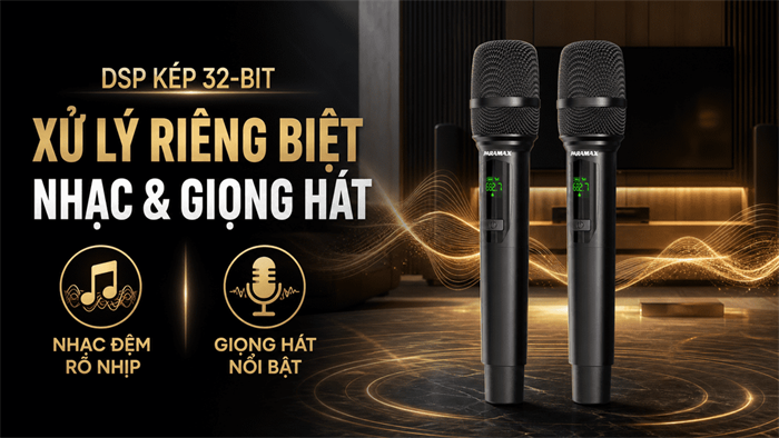 Cặp loa karaoke Paramax Euro 801 Smart Light Oak 240W Màu Nâu nhạt