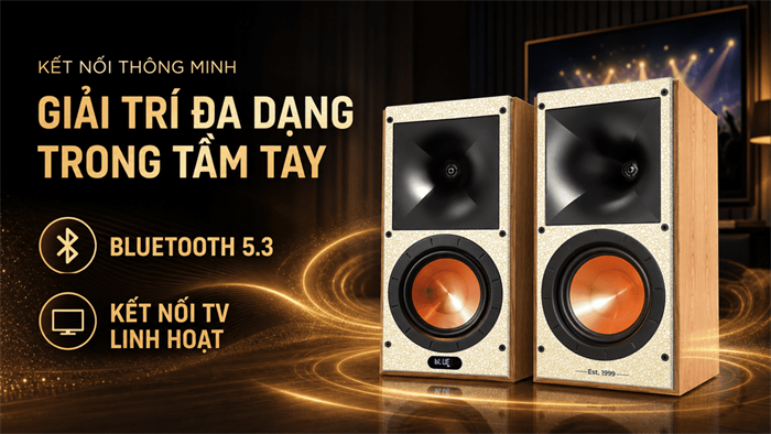 Cặp loa karaoke Paramax Euro 801 Smart Light Oak 240W Màu Nâu nhạt