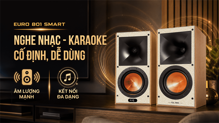 Cặp loa karaoke Paramax Euro 801 Smart Light Oak 240W Màu Nâu nhạt