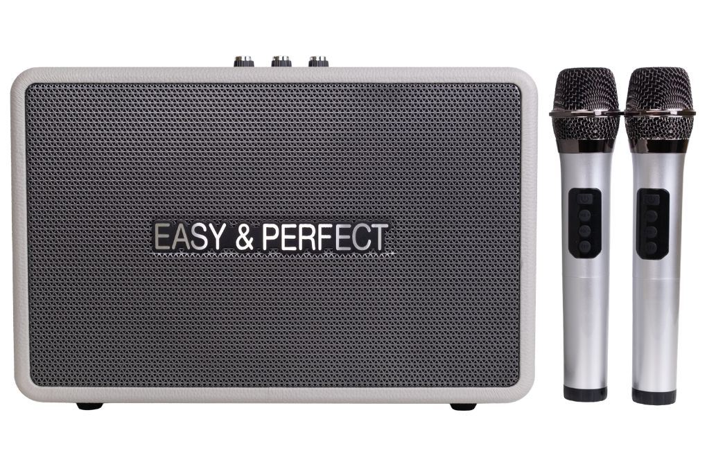Loa karaoke xách tay Easy & Perfect EP-4205 Pro 60W Màu Xám