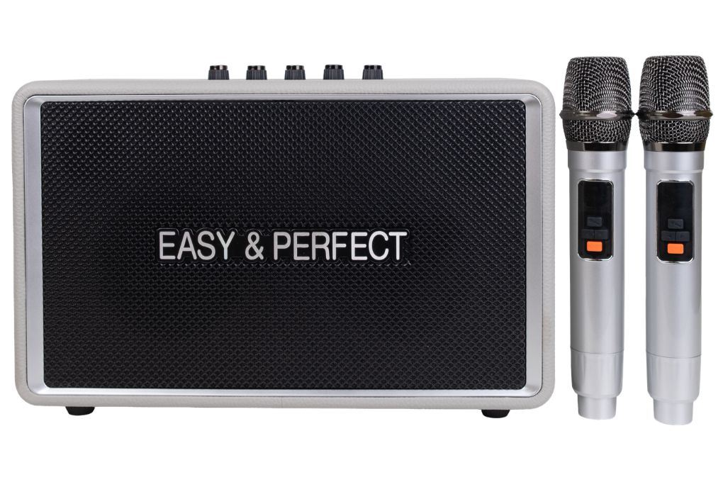 Loa karaoke xách tay Easy & Perfect EP-Tornado 130W Màu Xám