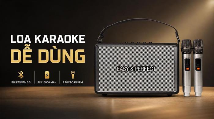 Loa karaoke xách tay Easy & Perfect EP-Votrex 160W - Đen Màu Đen