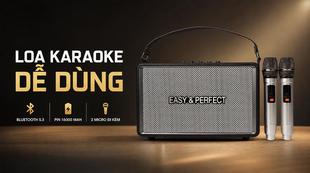 Loa karaoke xách tay Easy & Perfect EP-Votrex 160W Màu Đen