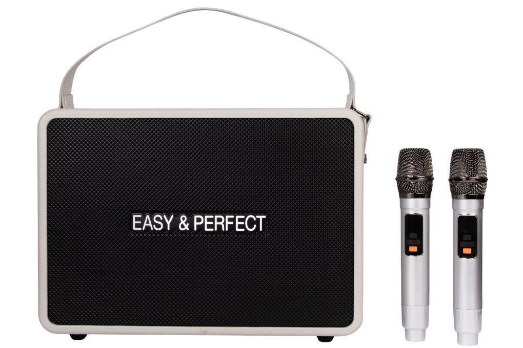 Loa karaoke xách tay Easy & Perfect EP-Volcano 200W Màu Xám