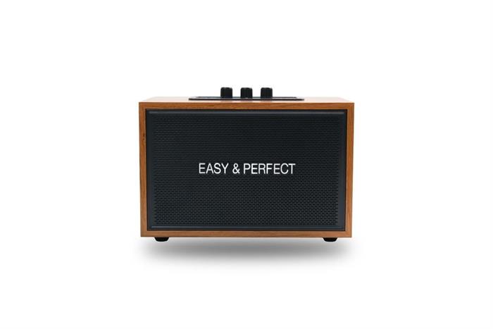 Loa karaoke xách tay Easy & Perfect Lexo 15W Nâu Màu Nâu