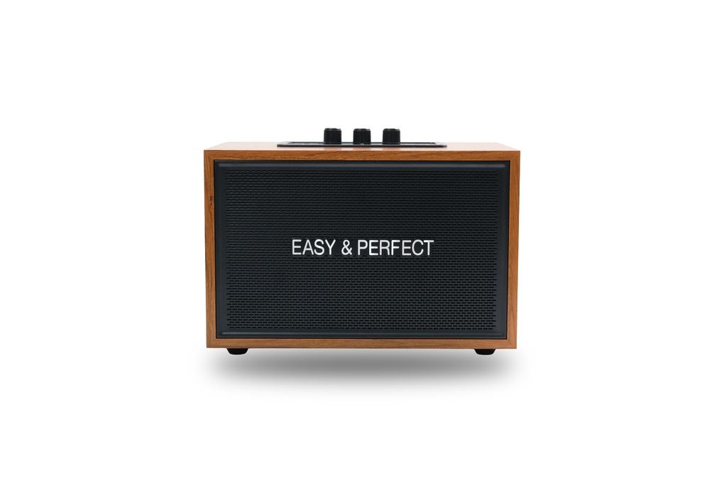 Loa karaoke xách tay Easy & Perfect Lexo 15W Nâu Màu Nâu