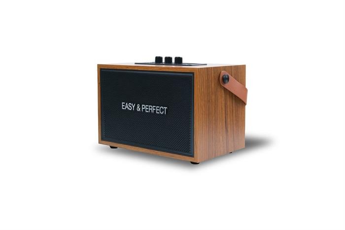 Loa karaoke xách tay Easy & Perfect Lexo 15W Nâu Màu Nâu