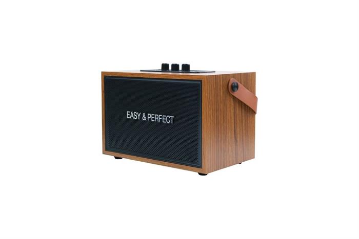 Loa karaoke xách tay Easy & Perfect Lexo 15W Nâu Màu Nâu