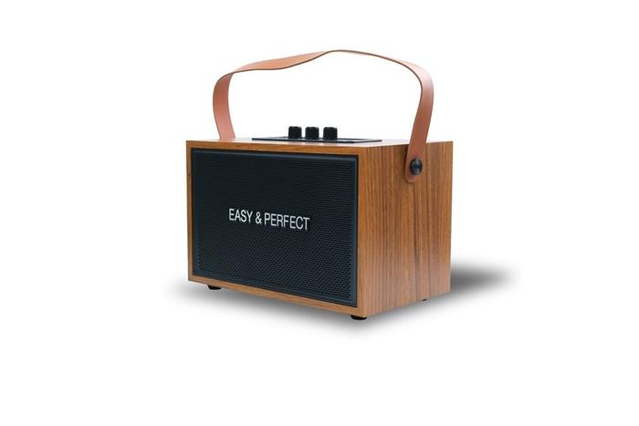 Loa karaoke xách tay Easy & Perfect Lexo 15W Nâu Màu Nâu