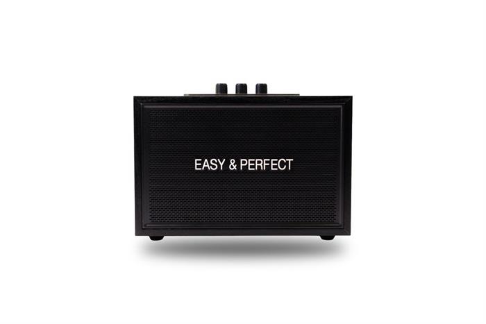 Loa karaoke xách tay Easy & Perfect Lexo 15W Đen Màu Đen