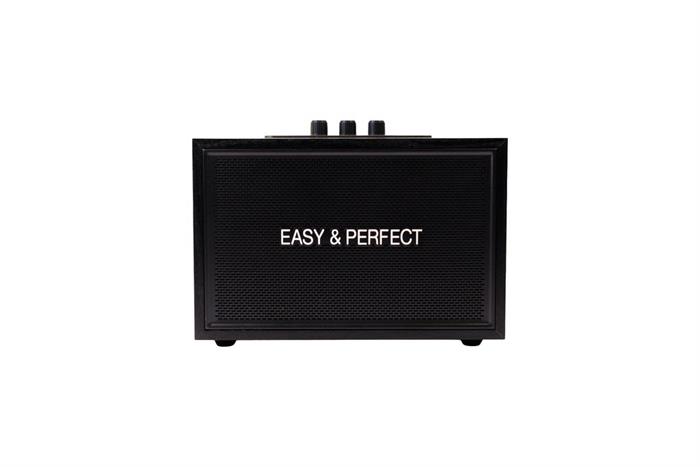 Loa karaoke xách tay Easy & Perfect Lexo 15W Đen Màu Đen