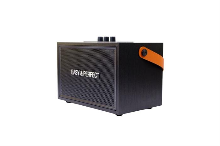 Loa karaoke xách tay Easy & Perfect Lexo 15W Đen Màu Đen