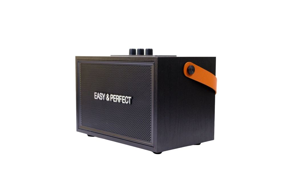 Loa karaoke xách tay Easy & Perfect Lexo 15W Đen Màu Đen