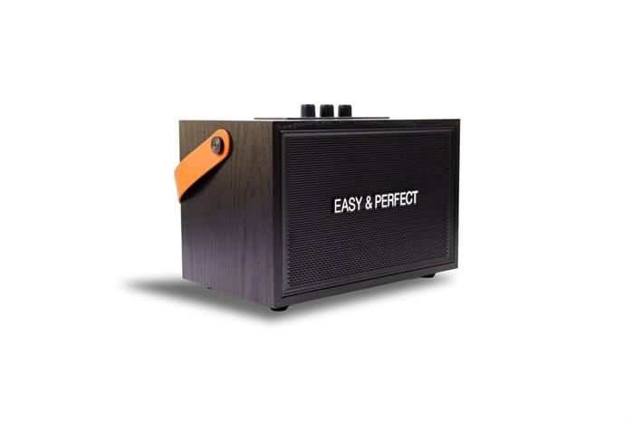 Loa karaoke xách tay Easy & Perfect Lexo 15W Đen Màu Đen