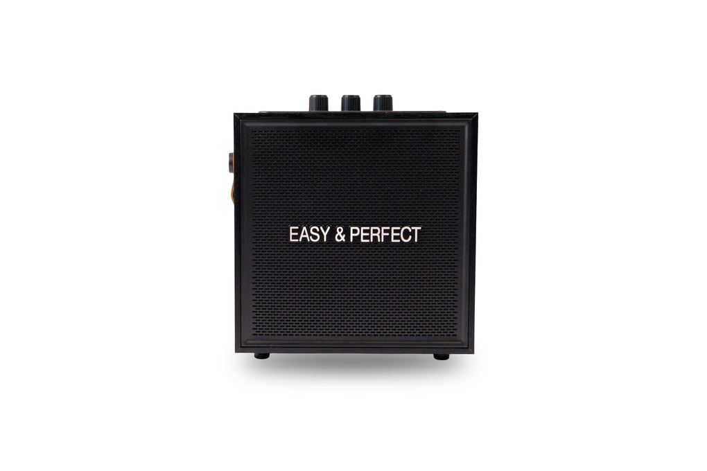 Loa karaoke xách tay Easy & Perfect Soraze 15W Đen Màu Đen