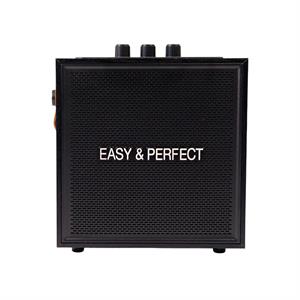 Loa karaoke xách tay Easy & Perfect Soraze 15W