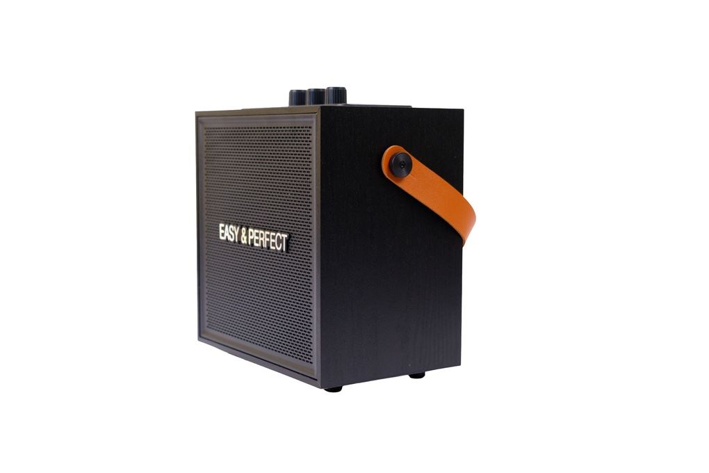 Loa karaoke xách tay Easy & Perfect Soraze 15W Đen Màu Đen