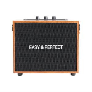 Loa karaoke xách tay Easy & Perfect Zypher 5W