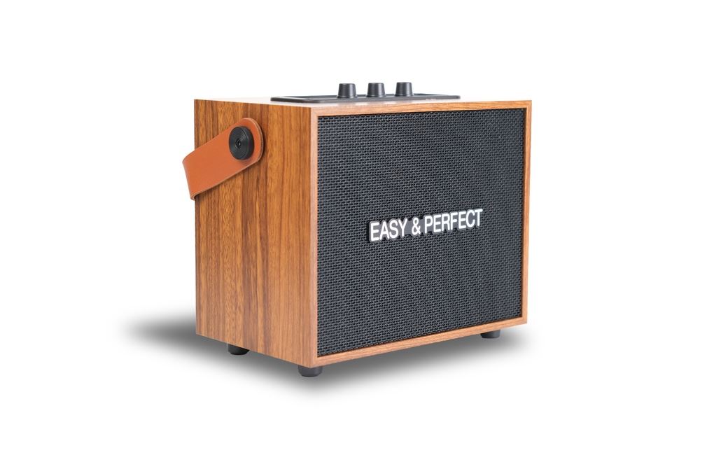 Loa karaoke xách tay Easy & Perfect Zypher 5W Nâu Màu Nâu