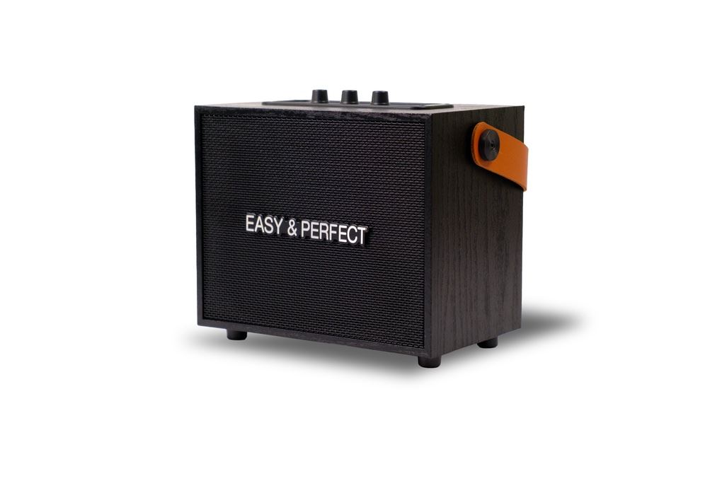 Loa karaoke xách tay Easy & Perfect Zypher 5W Đen Màu Đen