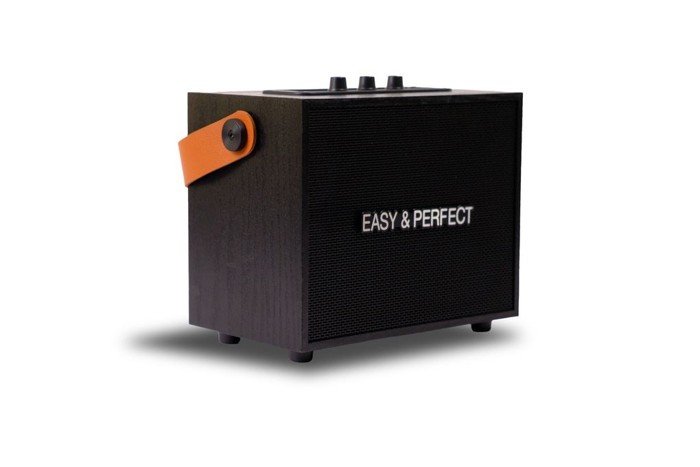 Loa karaoke xách tay Easy & Perfect Zypher 5W Đen Màu Đen