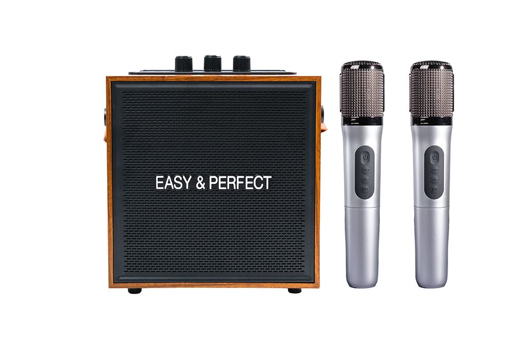 Loa karaoke xách tay Easy & Perfect EP-Soraze 15W Nâu Màu Nâu