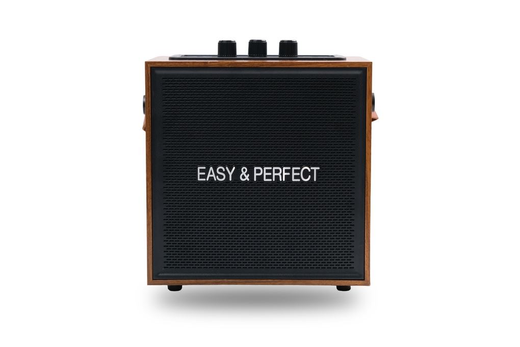 Loa karaoke xách tay Easy & Perfect EP-Soraze 15W Nâu Màu Nâu