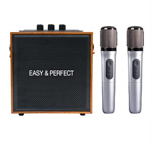 Loa karaoke xách tay Easy & Perfect EP-Soraze 15W