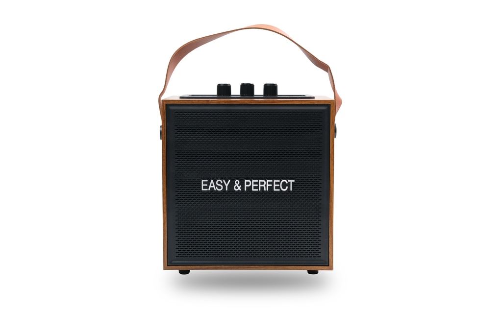 Loa karaoke xách tay Easy & Perfect EP-Soraze 15W Nâu Màu Nâu