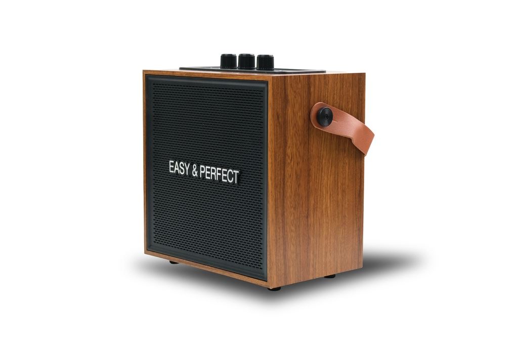 Loa karaoke xách tay Easy & Perfect EP-Soraze 15W Nâu Màu Nâu