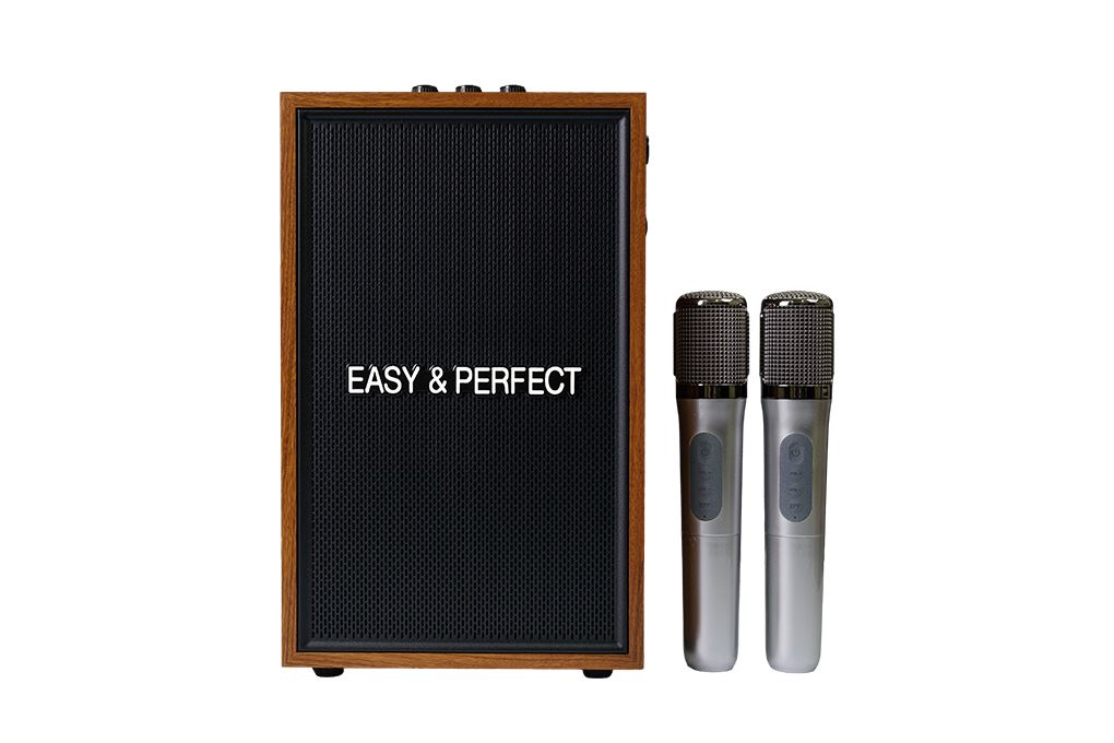 Loa karaoke xách tay Easy & Perfect EP-Vector 20W Nâu Màu Nâu