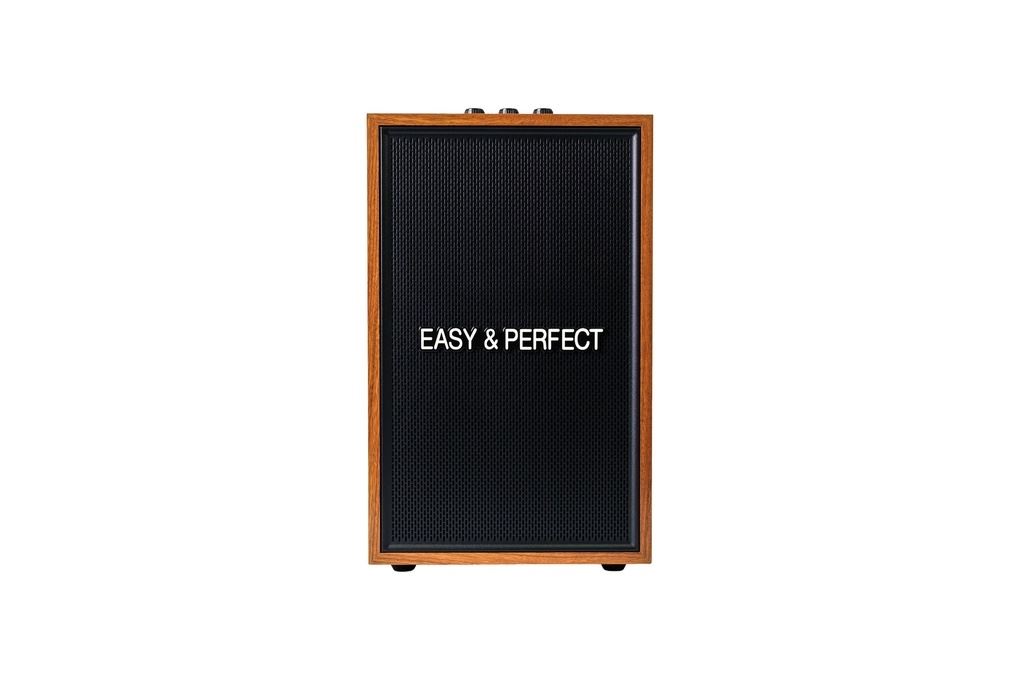 Loa karaoke xách tay Easy & Perfect EP-Vector 20W Nâu Màu Nâu