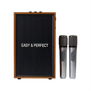 Loa karaoke xách tay Easy & Perfect EP-Vector 20W
