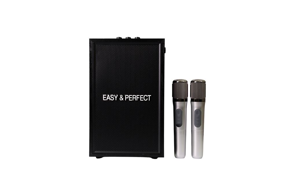 Loa karaoke xách tay Easy & Perfect EP-Vector 20W Đen Màu Đen