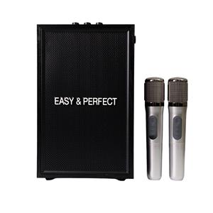 Loa karaoke xách tay Easy & Perfect EP-Vector 20W