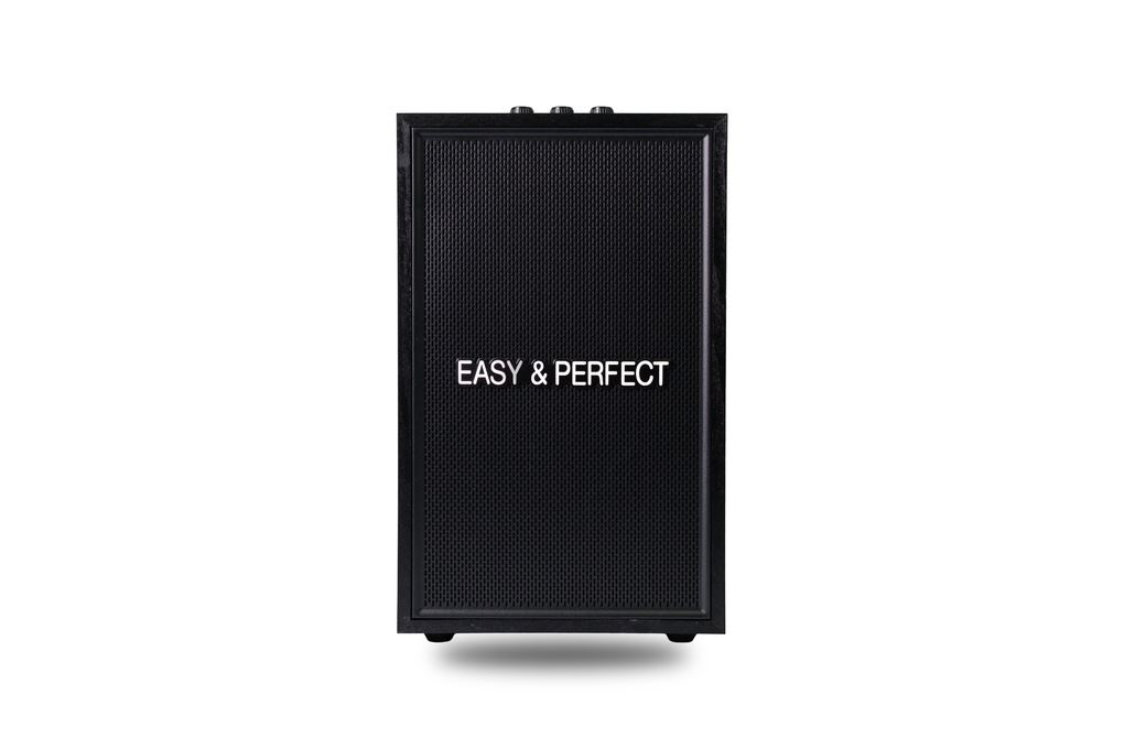 Loa karaoke xách tay Easy & Perfect EP-Vector 20W Đen Màu Đen
