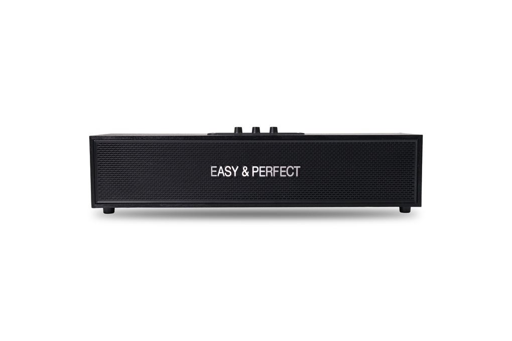Loa karaoke xách tay Easy & Perfect Zyron 10W Đen