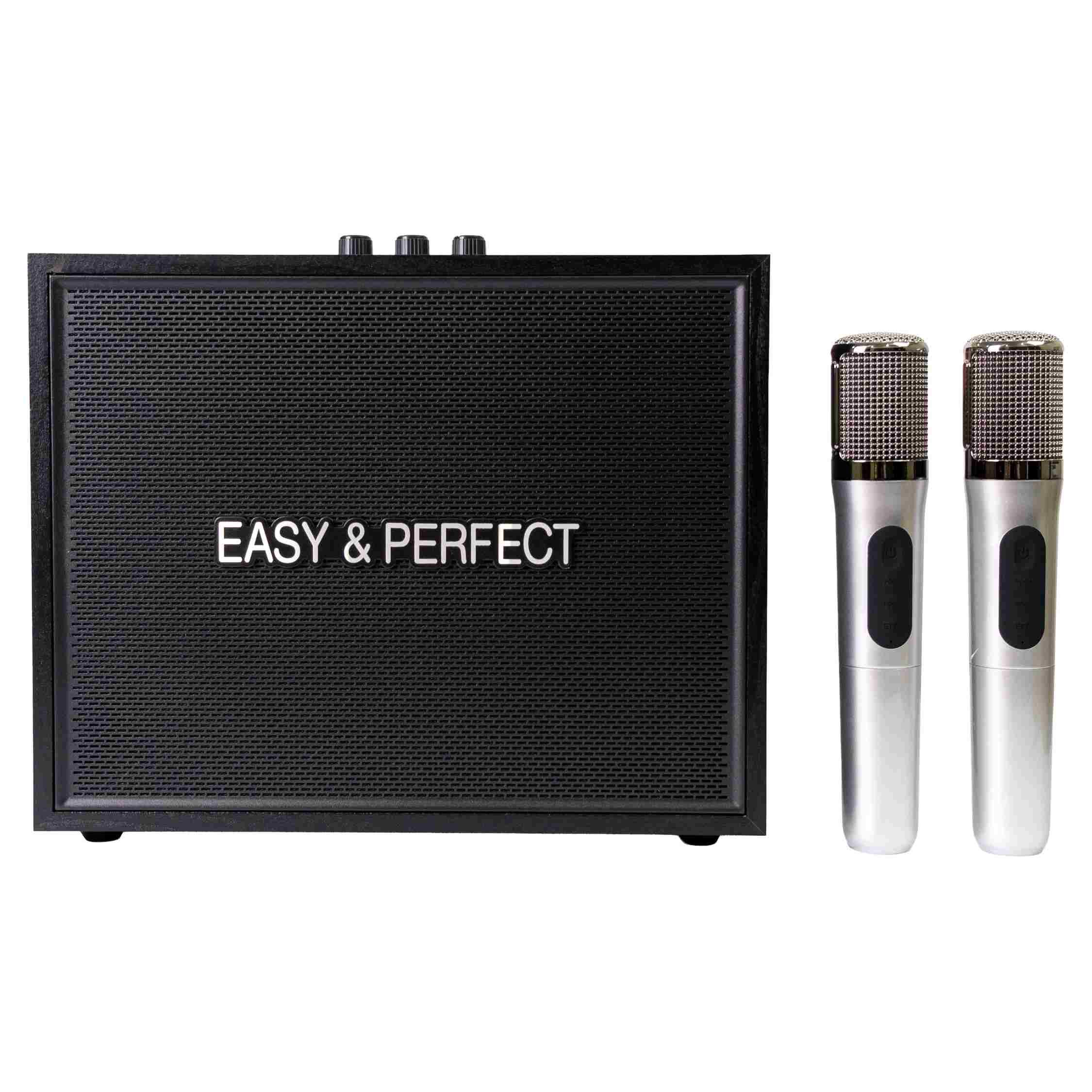 Loa karaoke xách tay Easy & Perfect Strenght 20W Màu Đen