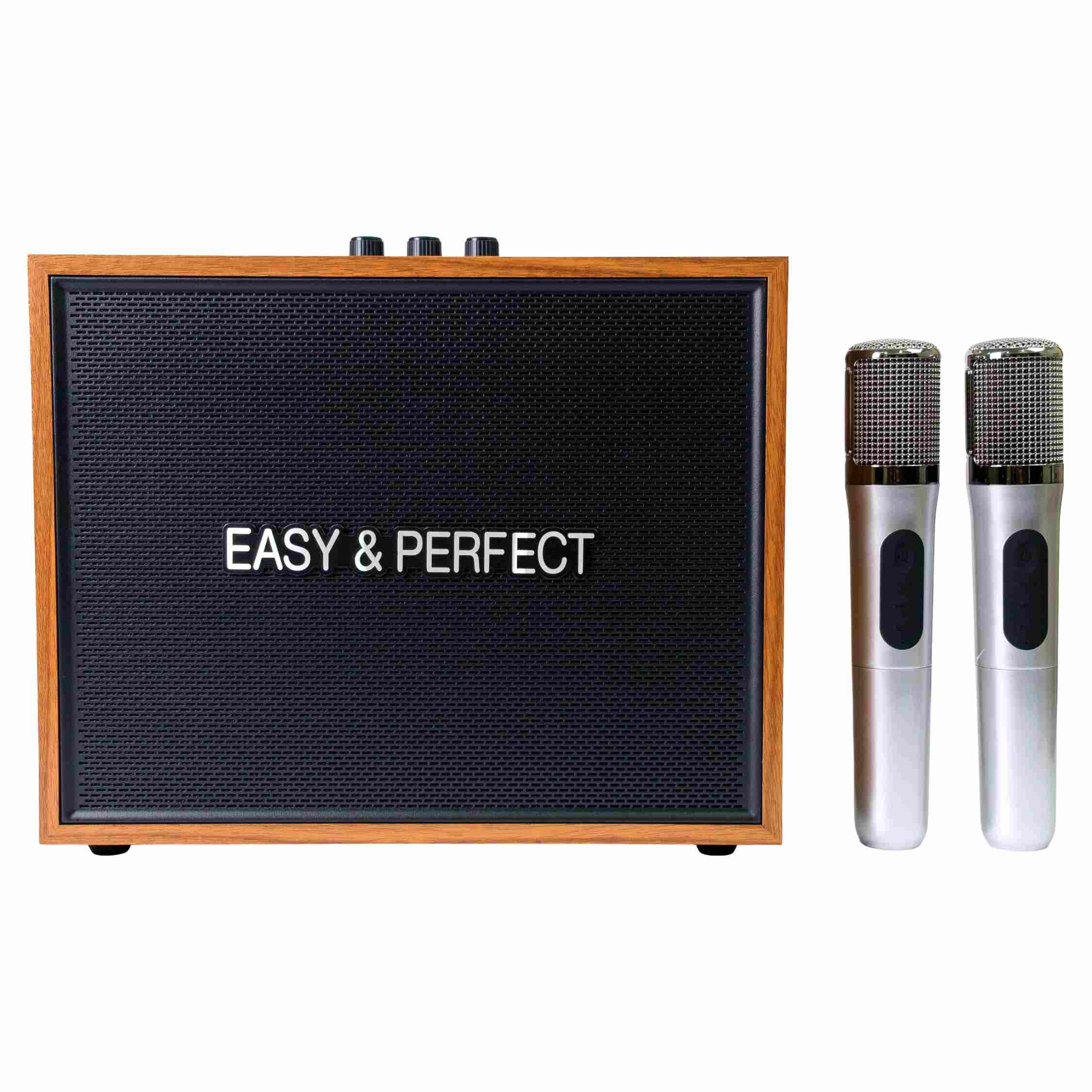Loa karaoke xách tay Easy & Perfect Strenght 20W Màu Nâu