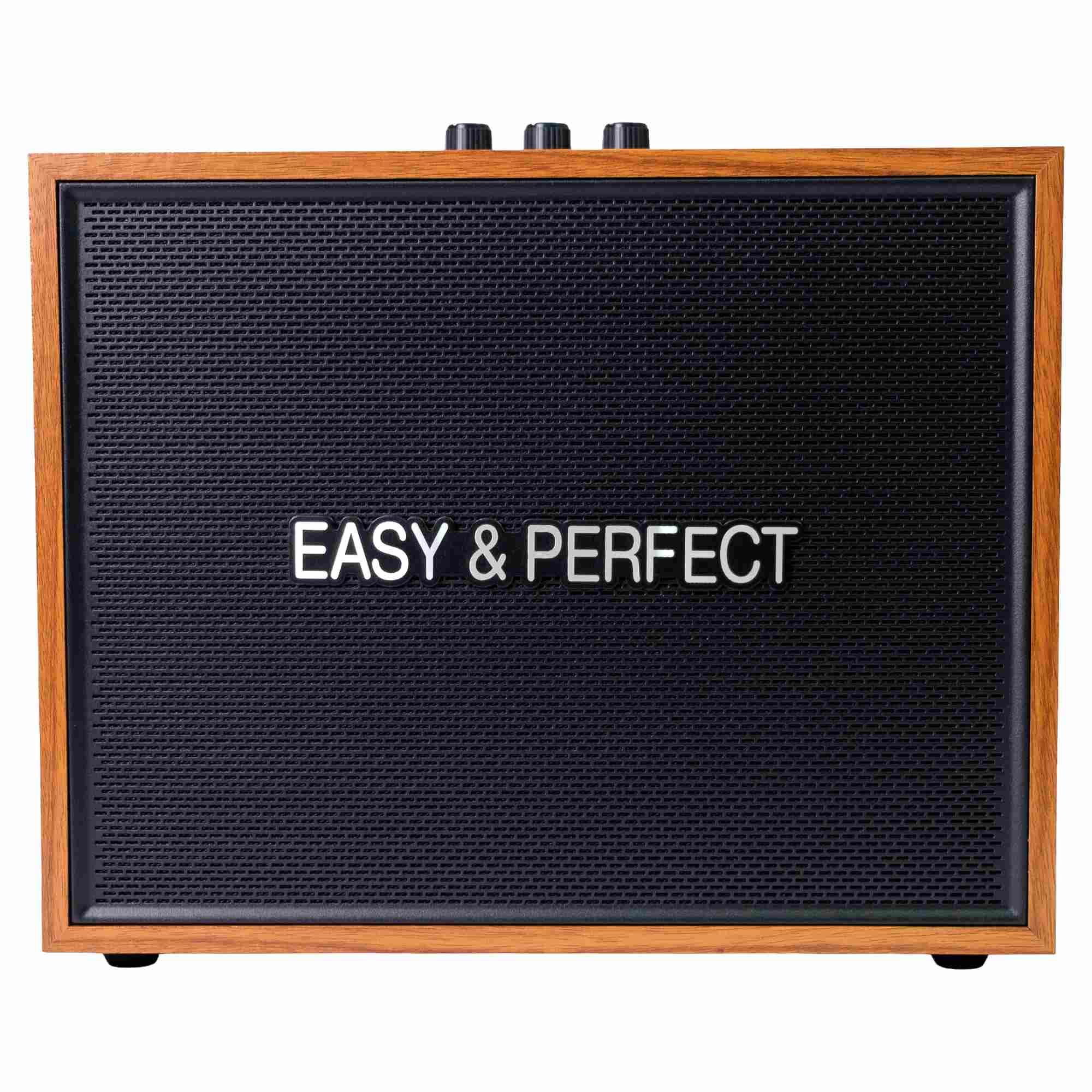 Loa karaoke xách tay Easy & Perfect Strenght 20W Màu Nâu