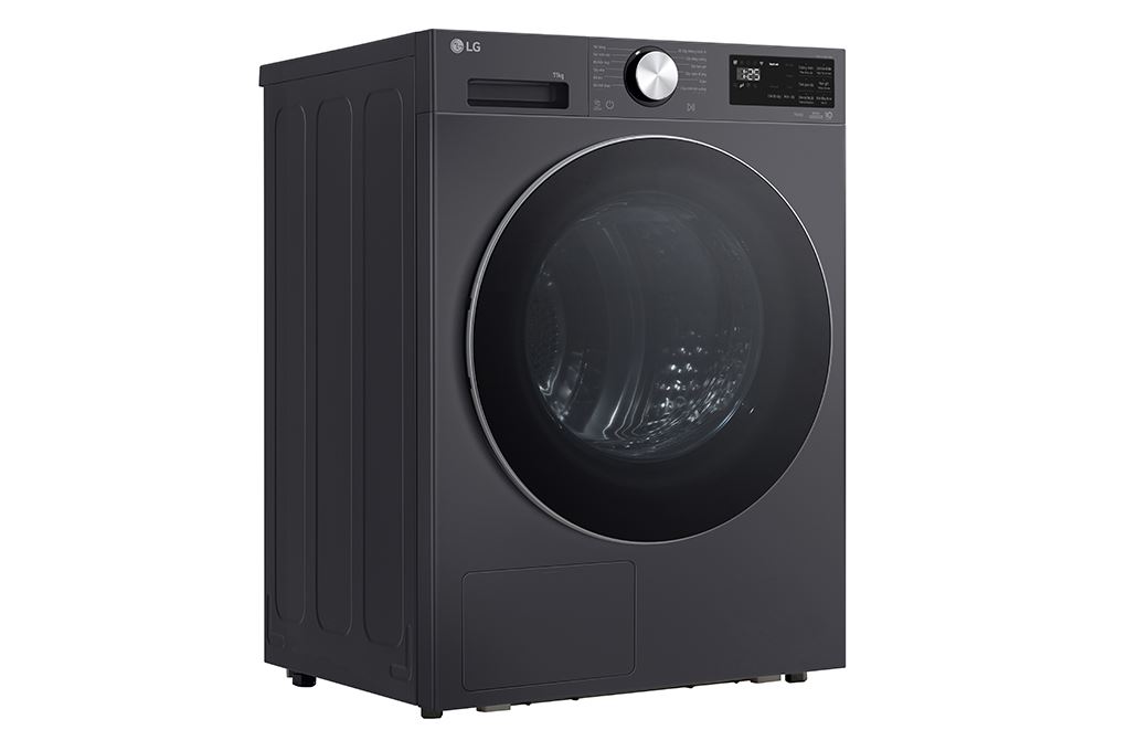 Máy sấy bơm nhiệt LG 11 kg RX11VHP5G1 - 3